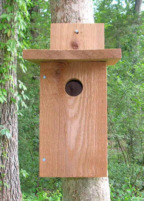 Bluebird house front view