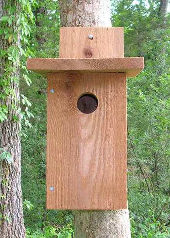 Bluebird House