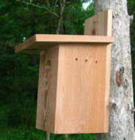 Bluebird house side view
