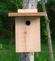 Chickadee House-Front