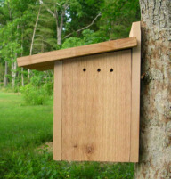 Chickadee House-Side